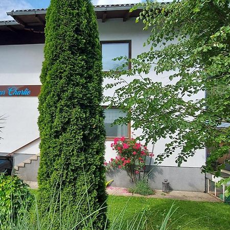 Appartements Das Charlie Эбензее Экстерьер фото